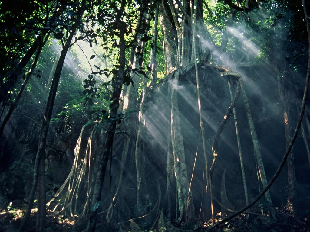 云南旅游，西双版纳