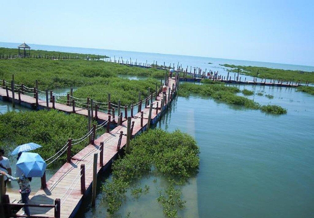 北海旅游,金海湾红树林生态旅游区