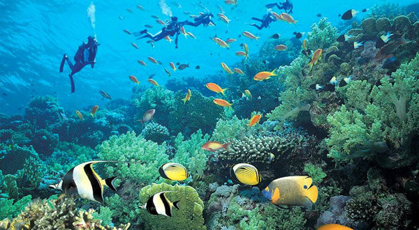 芽庄刷海岛