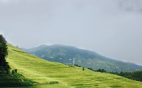 龙脊梯田