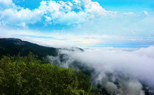霍顿平原
