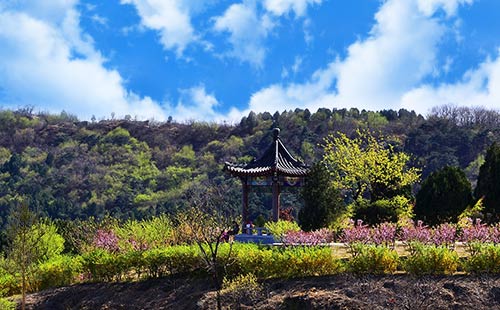 西山森林公园1