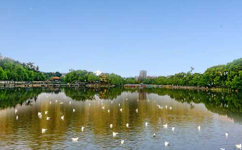昆明翠湖公园