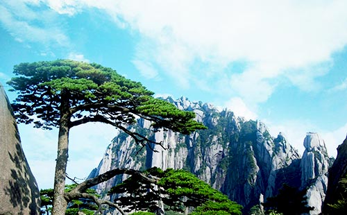 黄山风景区3