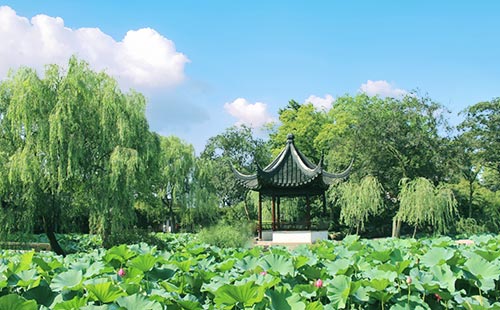 拙政园1