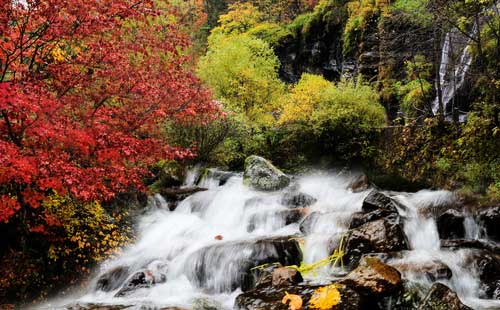 长白山望天鹅风景区