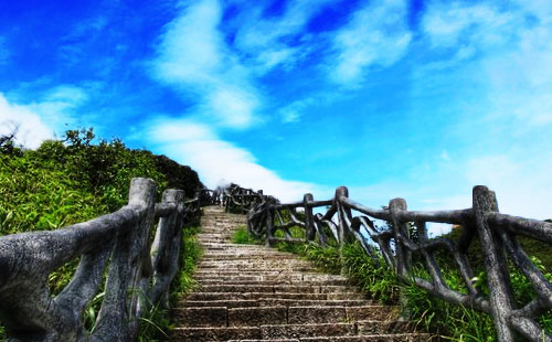 湖南莽山国家森林公园