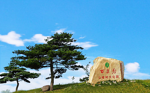 湖北百里荒