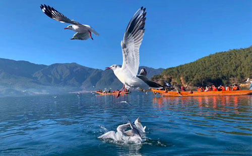 泸沽湖