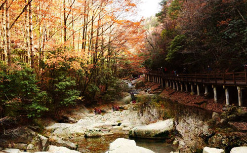 光雾山