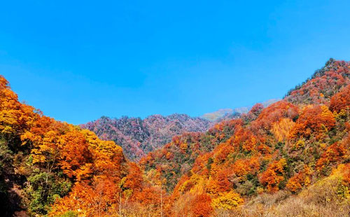 米仓山