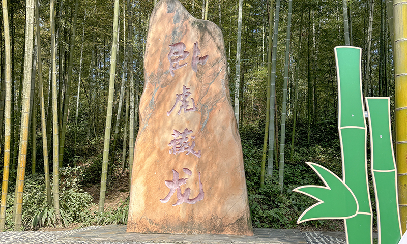 宜宾0000000